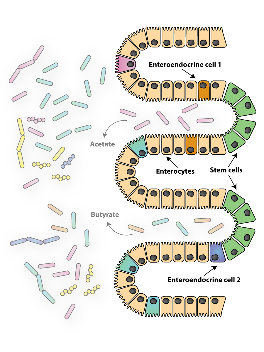 Moffitt Laboratory: Research Summary