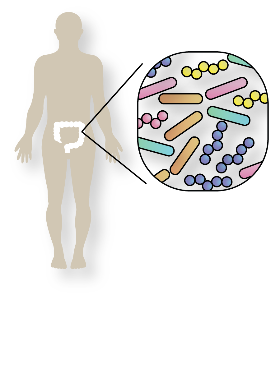 The mammalian microbiome is an important modulatory of host physiology